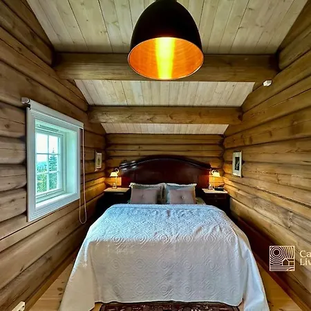 Prázdninový dům Large Log At With Sauna, Fireplace And Panoramic View