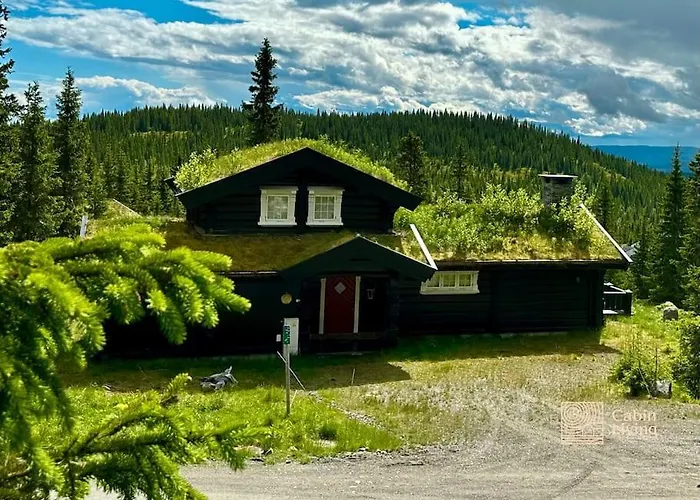 度假居 Large Log At With Sauna, Fireplace And Panoramic View