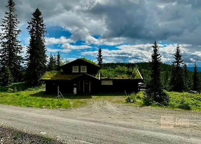 Large Log At With Sauna, Fireplace And Panoramic View Sjusjøen